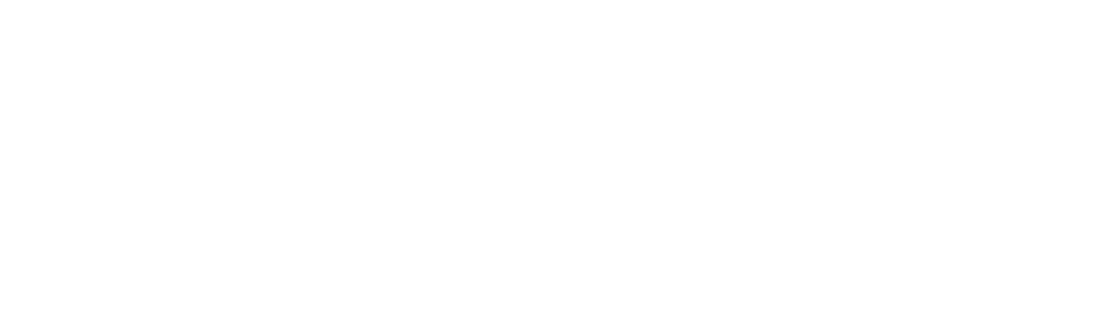 Nubus Technologies
